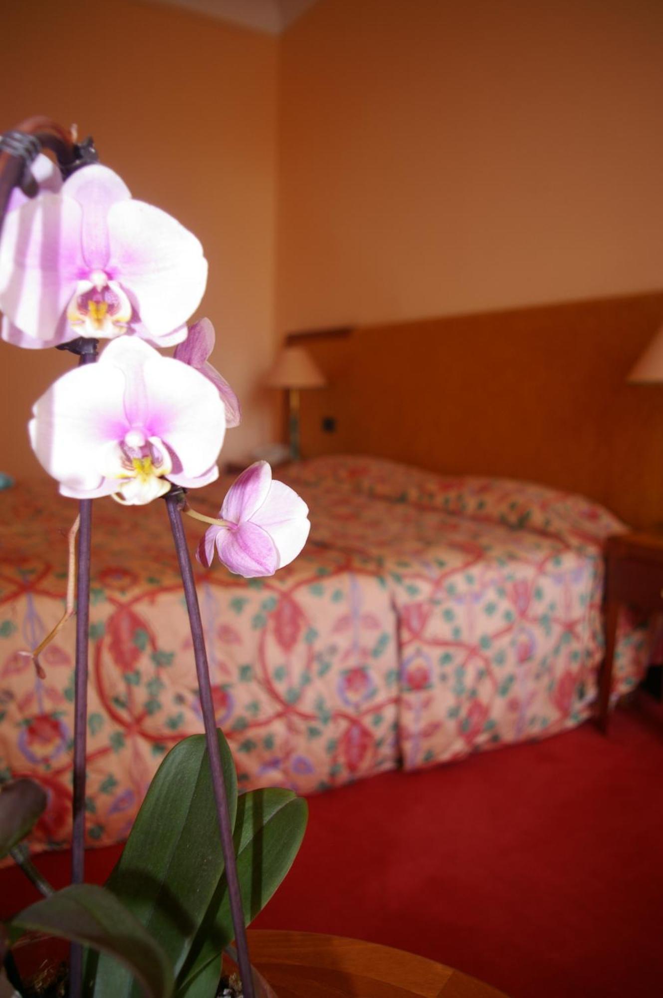 Hotel Aletti Palace Віші Екстер'єр фото